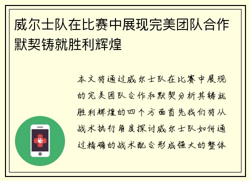 威尔士队在比赛中展现完美团队合作默契铸就胜利辉煌