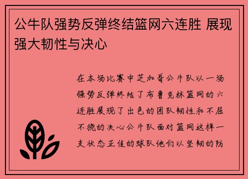 公牛队强势反弹终结篮网六连胜 展现强大韧性与决心